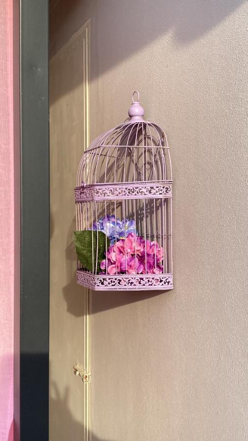 Bed & Breakfast La Terrazza *
