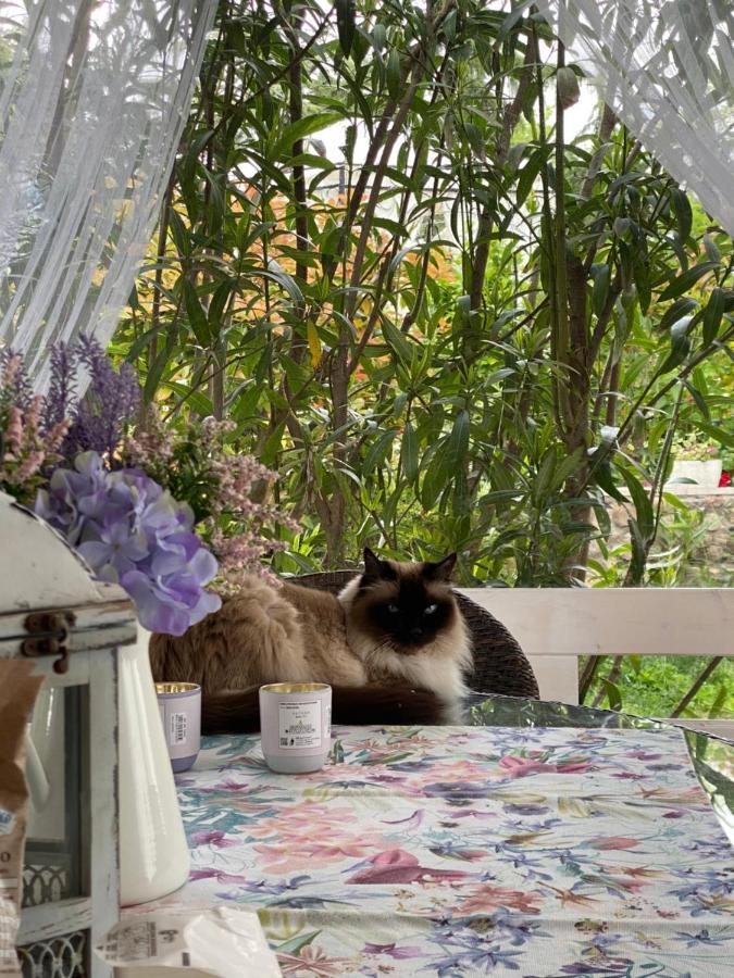 La Terrazza